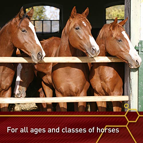 Pro E 5000 Premium Horse Vitamin E Powder