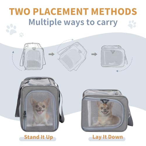 Petsfit Airline Approved Pet Carrier for Small Dogs & Cats (Grey / 19.0"L x 9.0"W x 12.0"H)