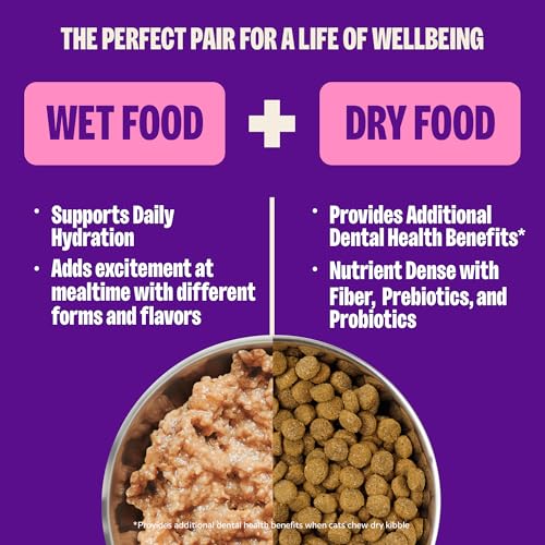 Complete Health Pate Kitten Canned Wet Cat Food (5.5 Ounce (Pack of 24))