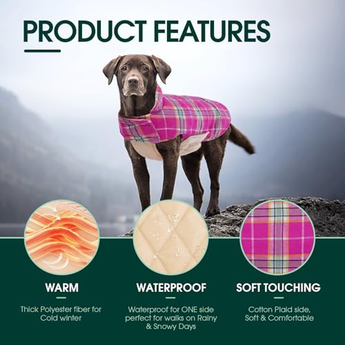 Waterproof Dog Coat (Rose / Medium (Pack of 1))
