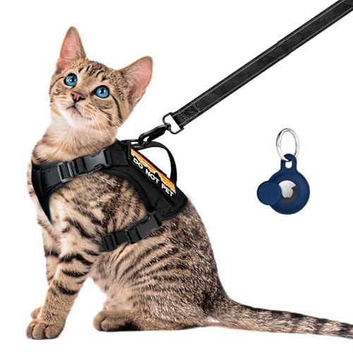 Tactical Cat Harness and Leash Set for Walking (L / black)