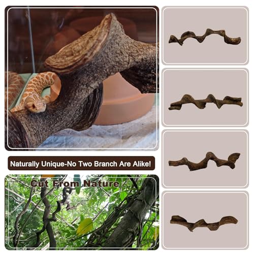 3PCS Natural Reptile Climbing Branches Decor (3PCS|M:1.25-1.75"T,13"H)