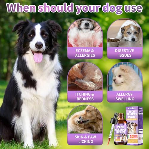 Dog Allergy Relief Drops