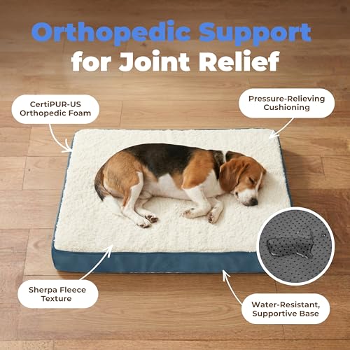 Orthopedic Dog Bed with Memory Foam (Blue / 41" x 29" x 4")