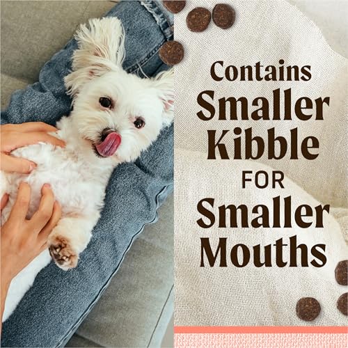 Lil' Plates Salmon Sweet Potato Dog Food 12 lb Bag (12 Pound (Pack of 1))