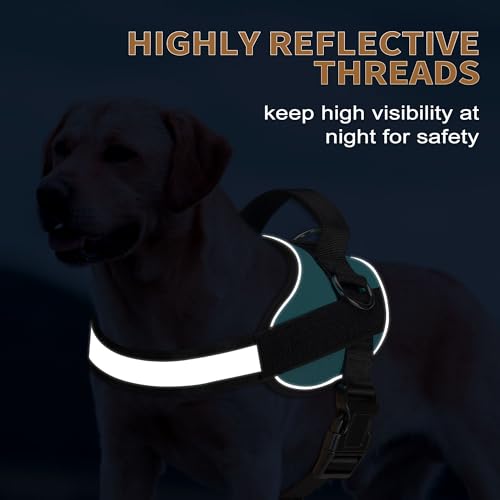 Essential Dog Harness (XL / Blue)