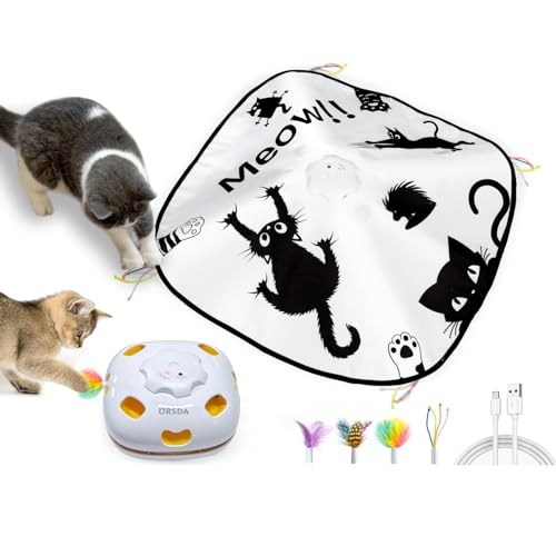 Cat Toys Interactive Cat Toys for Indoor Cats