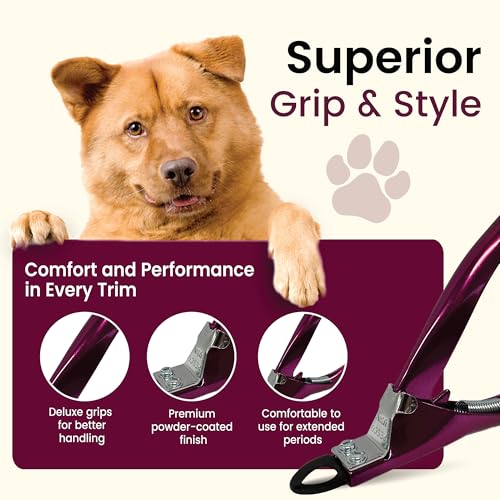Guillotine Dog Nail Clippers for Small to Medium Dogs (Raspberry Red / Regular)