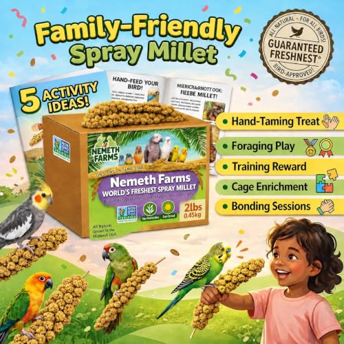Spray Millet Edible Tops Only (2 Pound (Pack of 1))