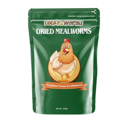10oz Dried Mealworms for Chickens Duck High Protein Birds Treat (10 Ounce (Pack of 1))