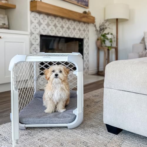 Evolv Modular Dog Crate for Dogs Up to 16" Tall (Small (25.9"L x 19.4"W x 20"H) / Ash)
