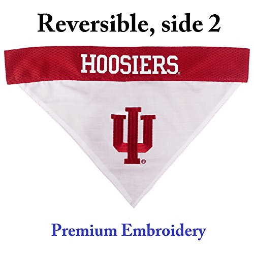Collegiate Pet Accessories (Small/Medium / Indiana Hoosiers)