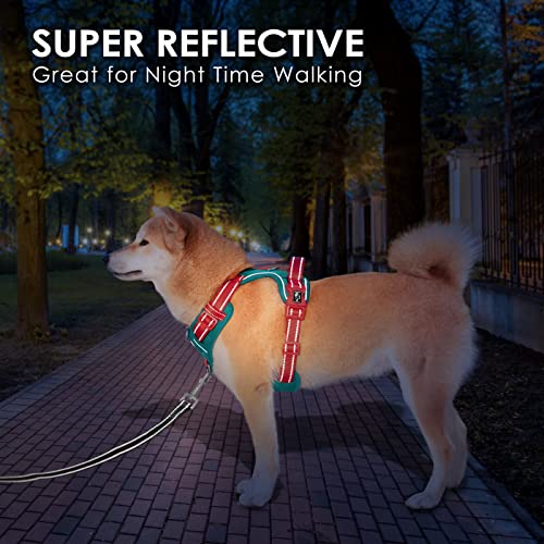 No Pull Dog Harness (Dark Green Base & Red Straps / Medium)