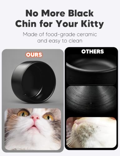 Premium Ceramic Cat Water Fountain W03 Lite