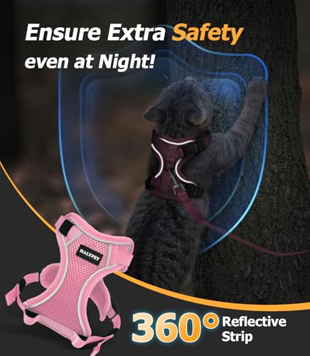 Cat Harness and Leash Set (H600 Pro Pink / X-Small (4-6lb))