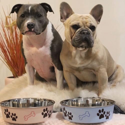 Bella Dog Bowls (Paparazzi Pink / Large (35-65lbs))