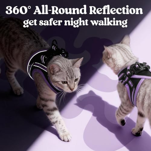 Cat Harness and Leash Set (S / Black-Light Purple)