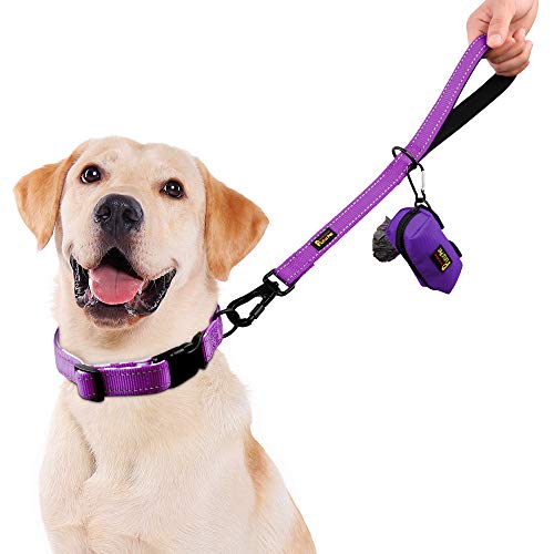 Short Training Dog Leash with Padded Handle for Medium Large Big Dogs (Purple / 18 Inch (Pack of 1))
