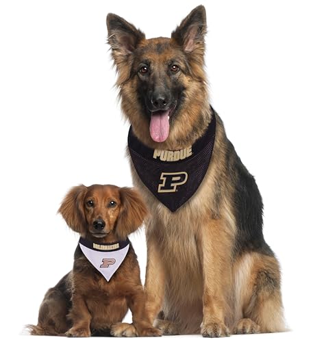 Collegiate Pet Accessories (XX-Large / Purdue Boilermakers)