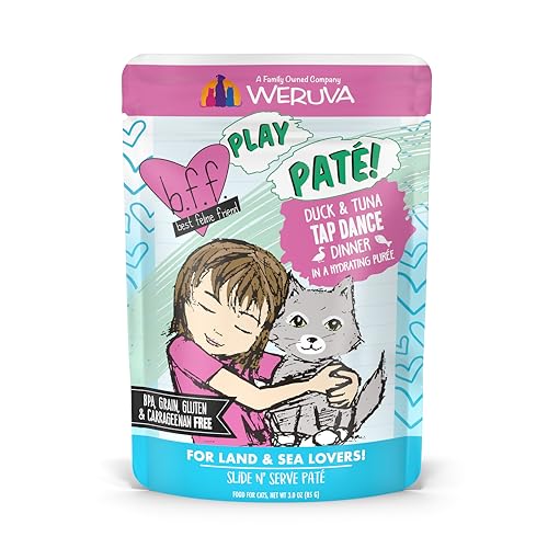 B.F.F. Play Best Feline Friend Paté Lovers (3 Ounce (Pack of 12))