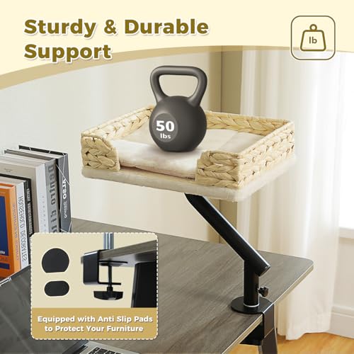 Cat Desk Bed for Indoor Cats (Beige)