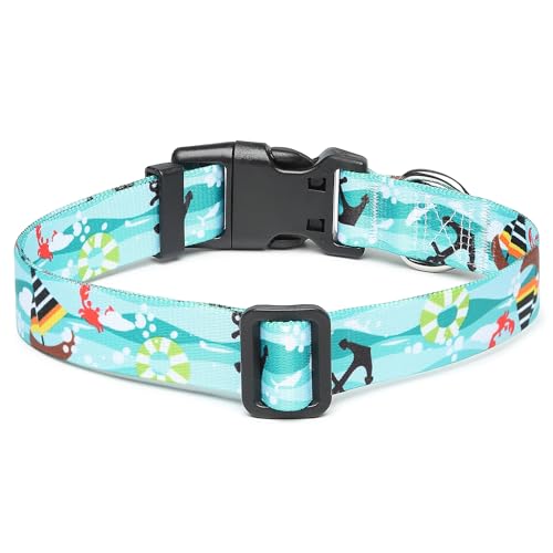 Adjustable Dog Collar (Extra Small / Sail)