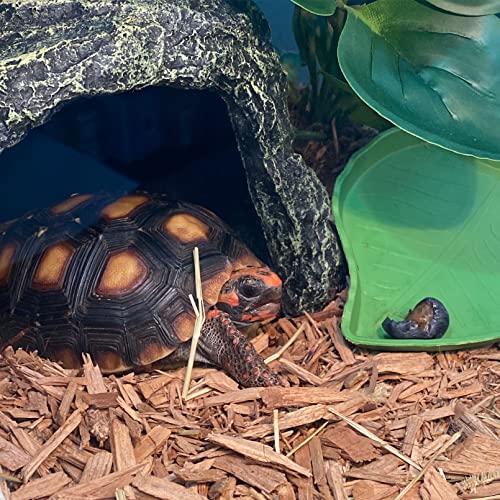 Reptile Rock Hideout Cave (hideout)