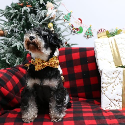Thanksgiving Day Dog Collar with Bowtie (X-Small (Pack of 1) / A:4 Color Plume Turkey)