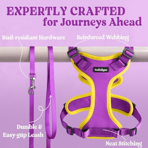 Cat Harness and Leash Set (Xs / Purple & Yellow)