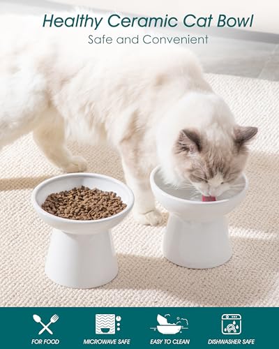 2 Pack 6.2" Wide Elevated Cat Bowls (White)