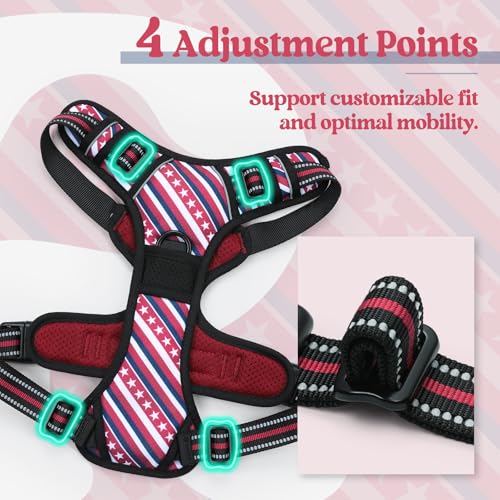 Dog Harness No Pull for Large Dogs with 2 Leash Clips (X-Large / Red Stripe)