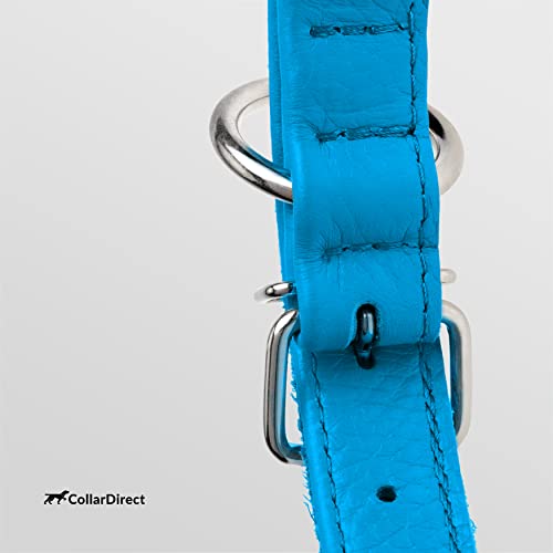 Tangle Free Rolled Leather Dog Collar