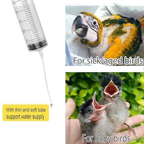 Baby Bird Feeding Syringe (White)