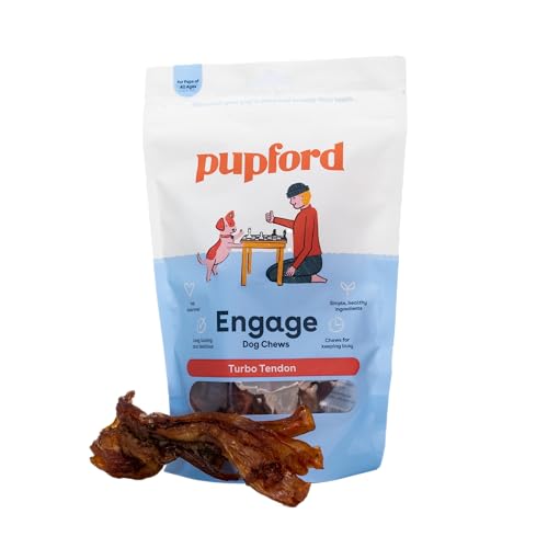 Beef Tendons for Dogs & Puppies (2.3 Ounce (Pack of 3) / Turbo)