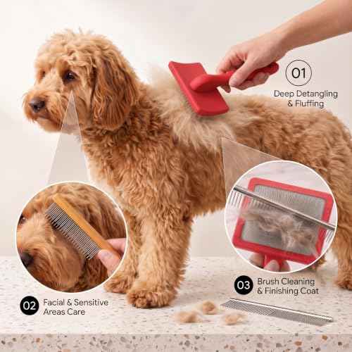 Slicker Brush for Dog (Large / Red)