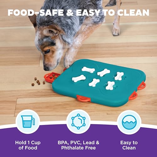 Nina Ottosson Dog Casino Dog Toy Treat Puzzle