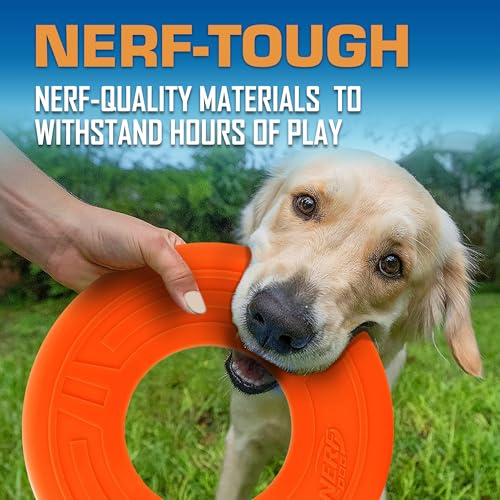 Atomic Flyer Outdoor Dog Toy (Orange / 10 Inch)