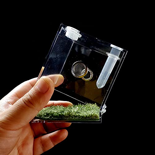 Jumping Spider Micro Habitat (2.6x2.6x2.7inches)