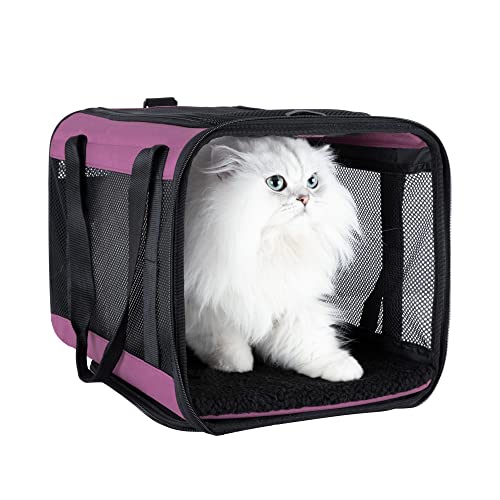 Soft Pet Carrier for Large and Medium Cats (Viva Magenta)