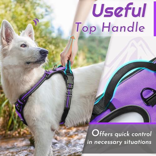 Dog Harness for Large Dogs (Large / Purple)