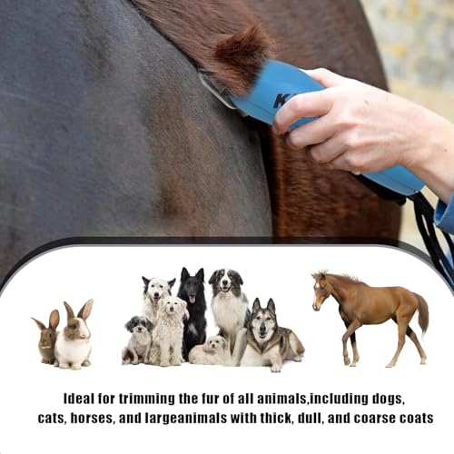Wide Blade Dog Grooming Blades Compatible with Andis (3pcs/ #10w+30w+5fw)