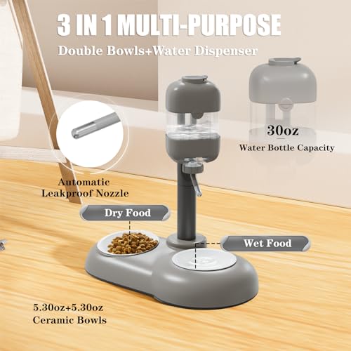 Puppy Bowls for Small Dogs (Gray)