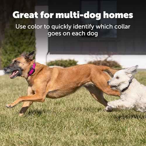 Guardian GPS 2.0 Replacement Collar Strap (Replacement Strap / Blue)
