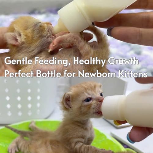 Newborn Kitten & Puppy Feeding Kit