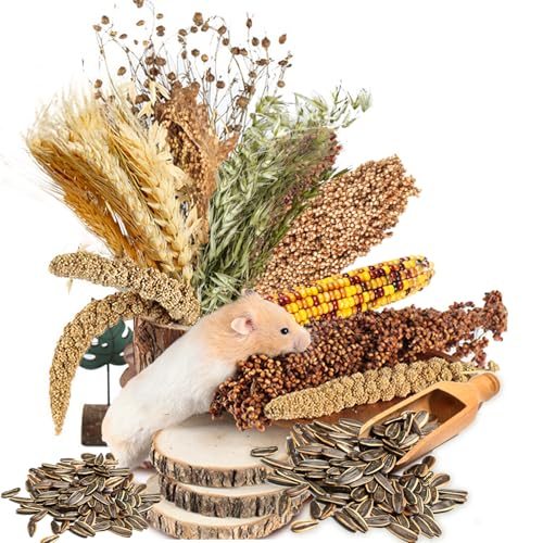 Natural Grain Flower&Herb Hamster Habitat Cage Accessories Bedding Decor (Miscellaneous grain crops)