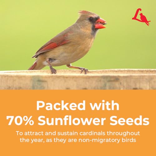 Cardinal Wild Bird Seed for Outside Feeders (3.75 Pound (Pack of 1))