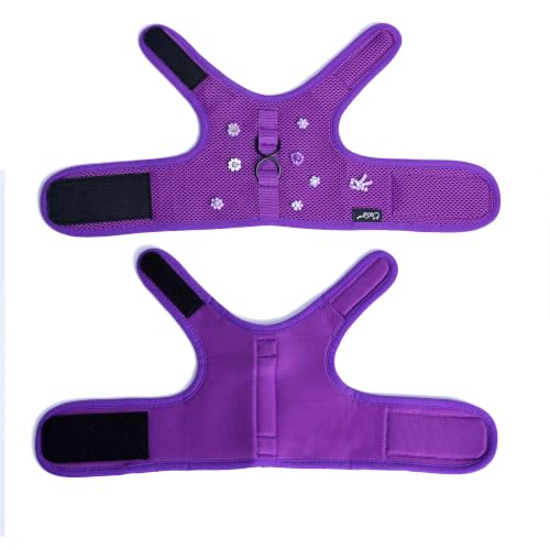 Cat Harness and Leash Set for Walking Escape Proof (Purple / Xs 2-4 lbs)