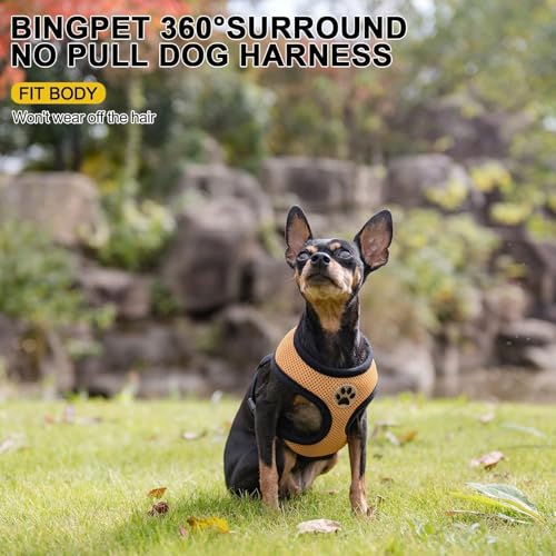 Small Dog Harness (XS (NECK: 10", CHEST: 10"-14") / Beige)