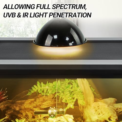20 Gallon PVC Reptile Terrarium (24x18x12 inch)