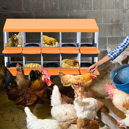 Chicken Nesting Boxes (56.7"L x 17.5"W x 11.0"H / Orange)